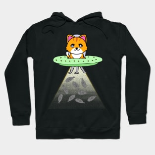 Funny orange Cat is flying a spaceship Hoodie